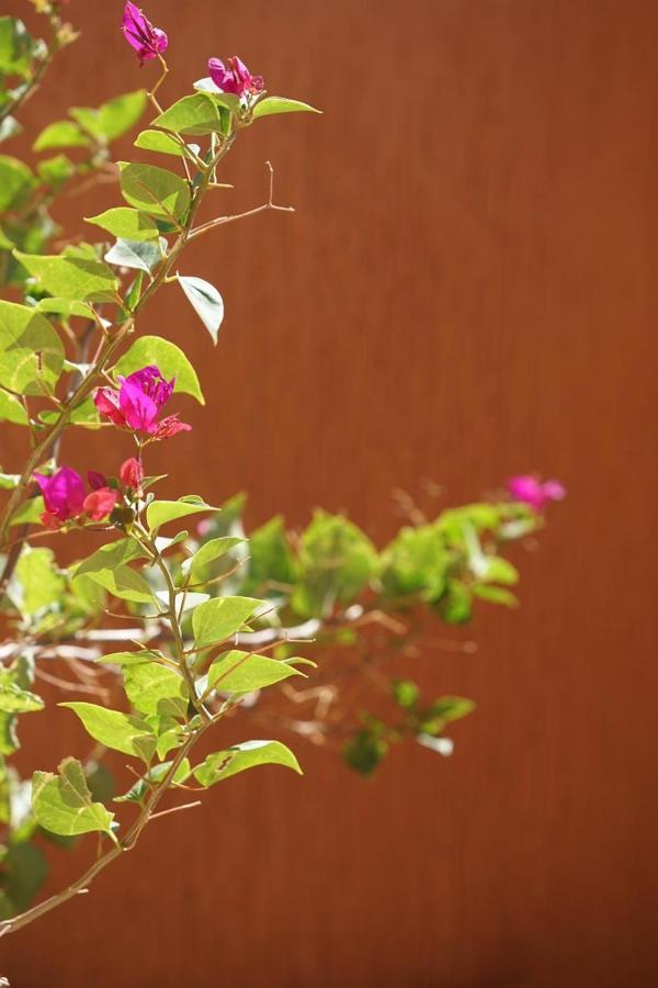 Bed and Breakfast Berber Nomad Kasbah Nkob Esterno foto